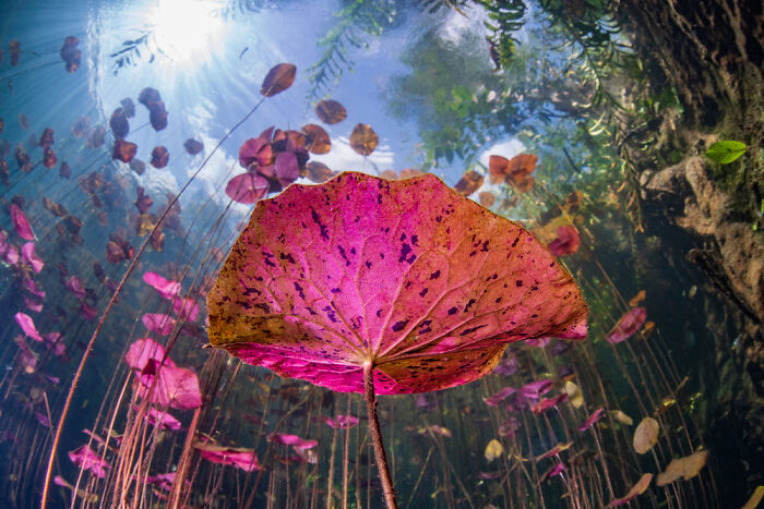 TPOTY 2025 Winners Announced: 38 Stunning Travel Photos From Around the World