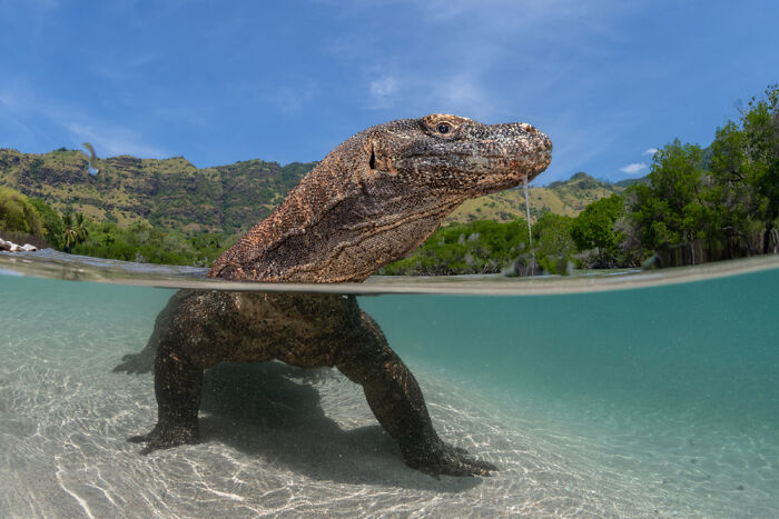 TPOTY 2025 Winners Announced: 38 Stunning Travel Photos From Around the World