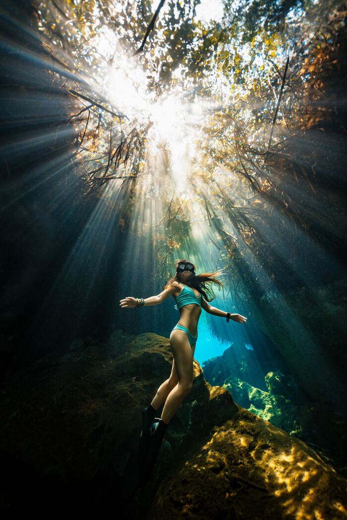 From Playful Seal Pups To Deep Sea Wonders: 39 Winning UPY 2026 Images