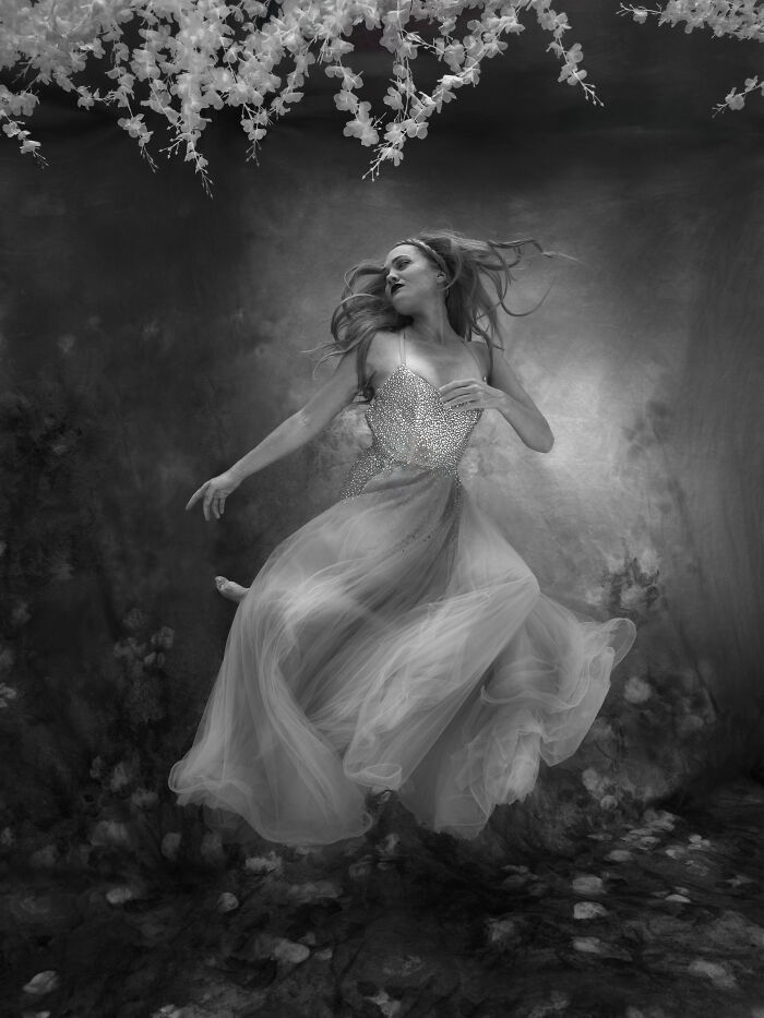 From Playful Seal Pups To Deep Sea Wonders: 39 Winning UPY 2026 Images