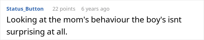 11YO Breaks Aunt&rsquo;s PS4, The Mom Says &ldquo;She’s Not Replacing It Because She Didn’t Do It&rdquo;