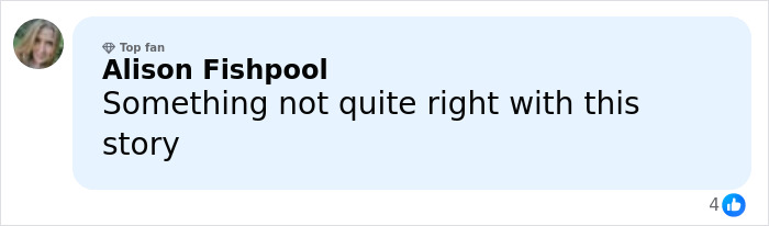 Coroner Releases Cause Of Passing For Backpacker Whose Body Was Found Surrounded By Dingoes