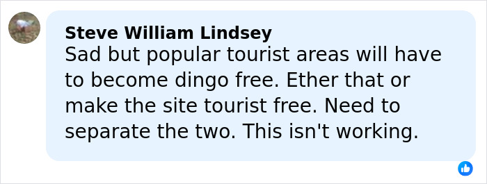 Coroner Releases Cause Of Passing For Backpacker Whose Body Was Found Surrounded By Dingoes