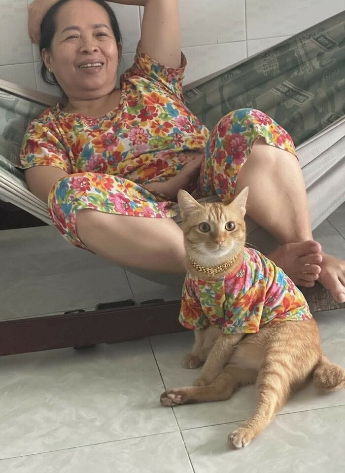 Hilarious &ldquo;Important Animal Images,&rdquo; As Shared By This Page Dedicated To All Things Cats (38 New Pics)