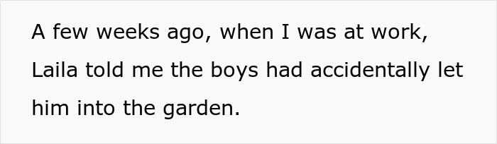 Lady Ends Up Homeless When Sis Kicks Her Fam Out After They Endanger Her Feline Friend