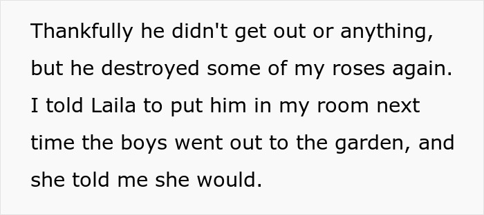 Lady Ends Up Homeless When Sis Kicks Her Fam Out After They Endanger Her Feline Friend