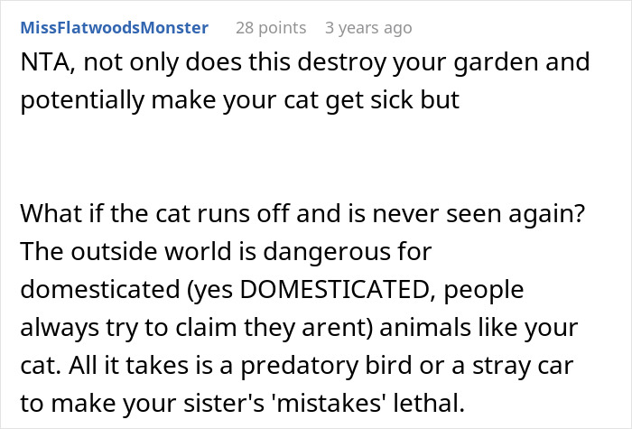 Lady Ends Up Homeless When Sis Kicks Her Fam Out After They Endanger Her Feline Friend