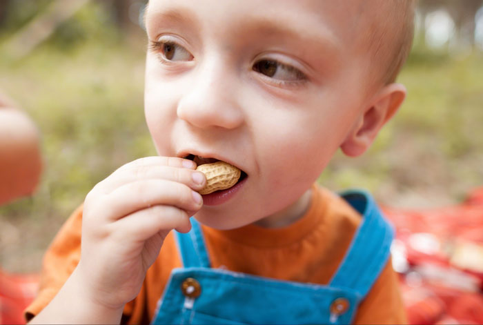 Parents Caught In A Legal Battle As School Keeps Giving Nuts To Their Allergic Son Despite Warnings