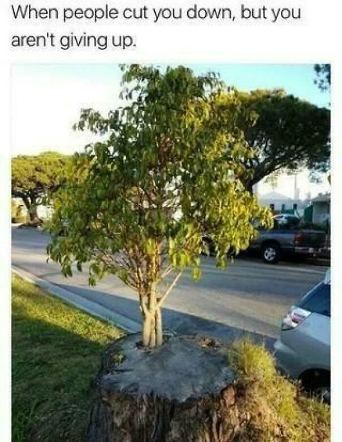 48 Brilliantly Unhinged Posts That Prove None Of Us Are Okay (New Pics)