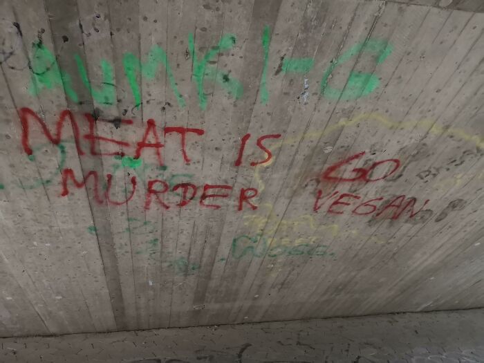 93 Signs That Went So Wrong They Turned Into Comedic Gold (New Pics)