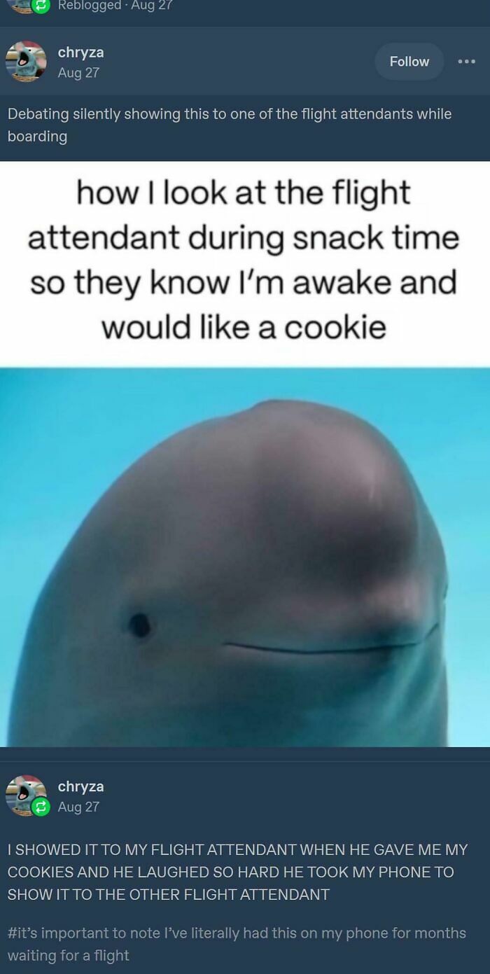 &ldquo;Our Son Called Me Elon Musk&rdquo;: 79 Times Tumblr Took A Rather Wild And Unexpected Turn (New Pics)