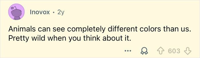 49 Facts That Sound Pretty Far-Fetched But Are Actually True