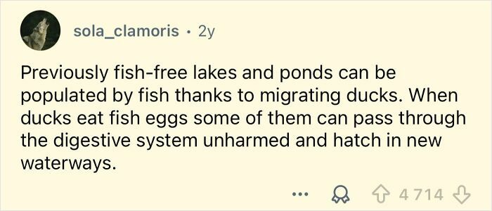 49 Facts That Sound Pretty Far-Fetched But Are Actually True