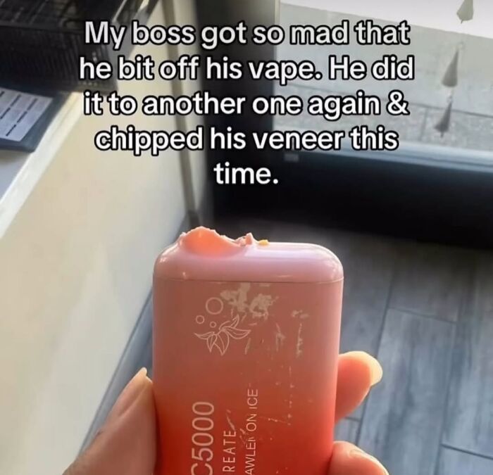 &ldquo;Feel Better Princess?&rdquo;: These 59 Photos Induce Secondhand Embarrassment So Bad, You May Feel It In Your Skin (New Pics)