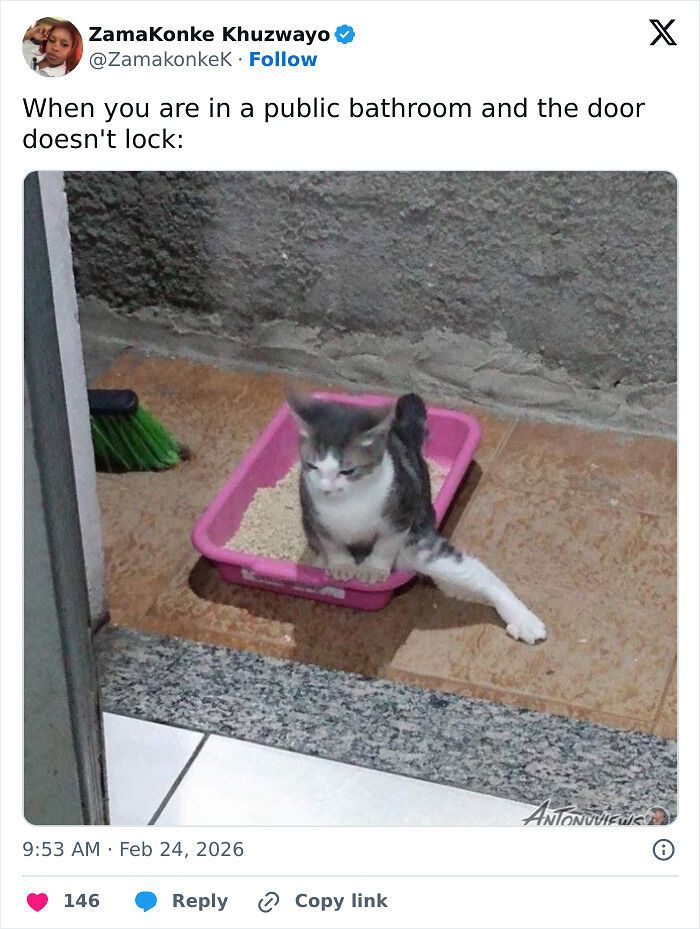 73 Times Women Shared Their Thoughts And Made People Crack Up