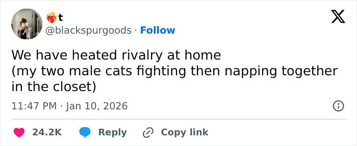 73 Times Women Shared Their Thoughts And Made People Crack Up