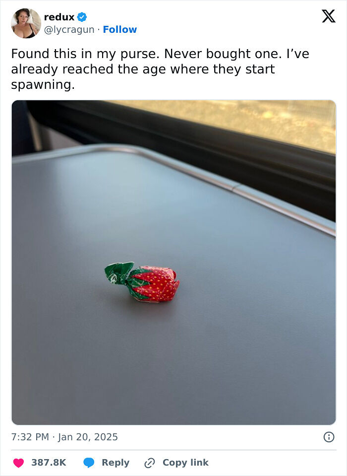 73 Times Women Shared Their Thoughts And Made People Crack Up