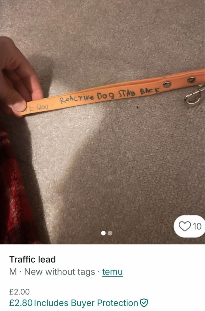59 Hilarious Listings That Prove There Are Zero Rules On Vinted