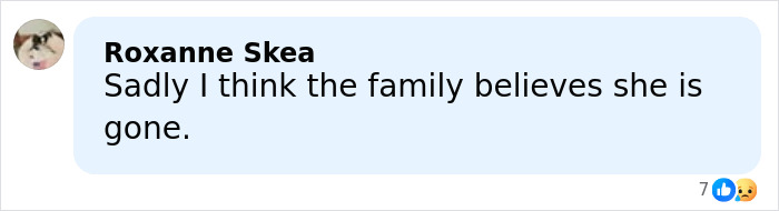 Body Of Woman Found Near Phoenix Canal Raises Questions In Nancy Guthrie Case Body Of Woman Found Near Phoenix Canal Raises Questions In Nancy Guthrie Case