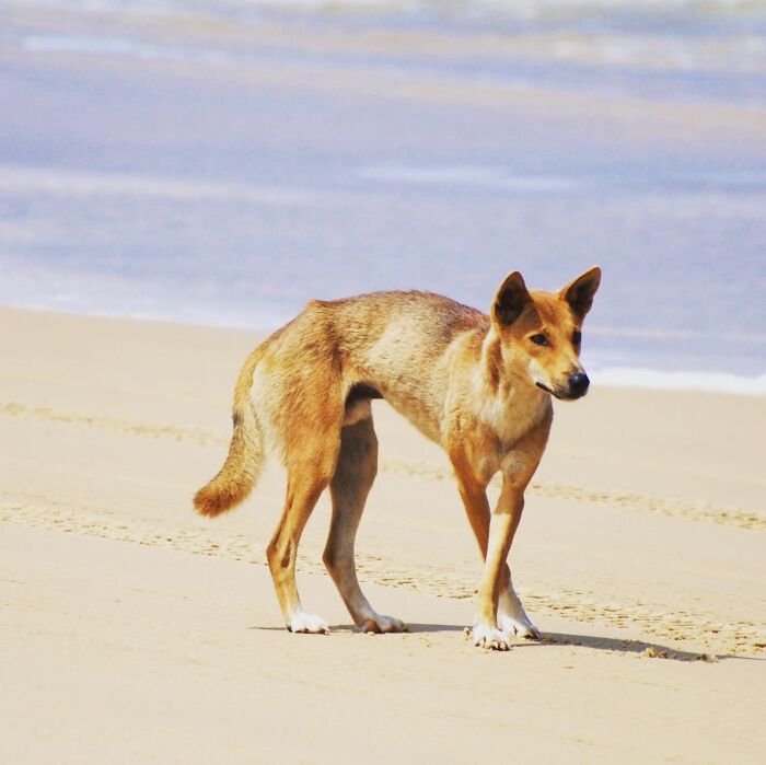 51 Proven Facts That Once Were Simply Stories And Speculations 51 Proven Facts That Once Were Simply Stories And Speculations