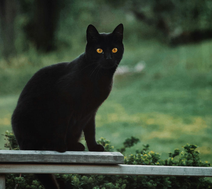 48 Personal Mysteries That These People Still Wonder About Years Later 48 Personal Mysteries That These People Still Wonder About Years Later