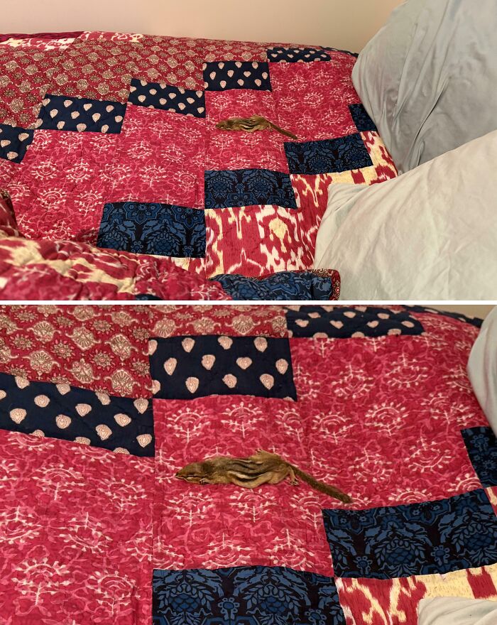 77 Times Hotels Messed Up So Bad, People Had To Shame Them Online (New Pics)