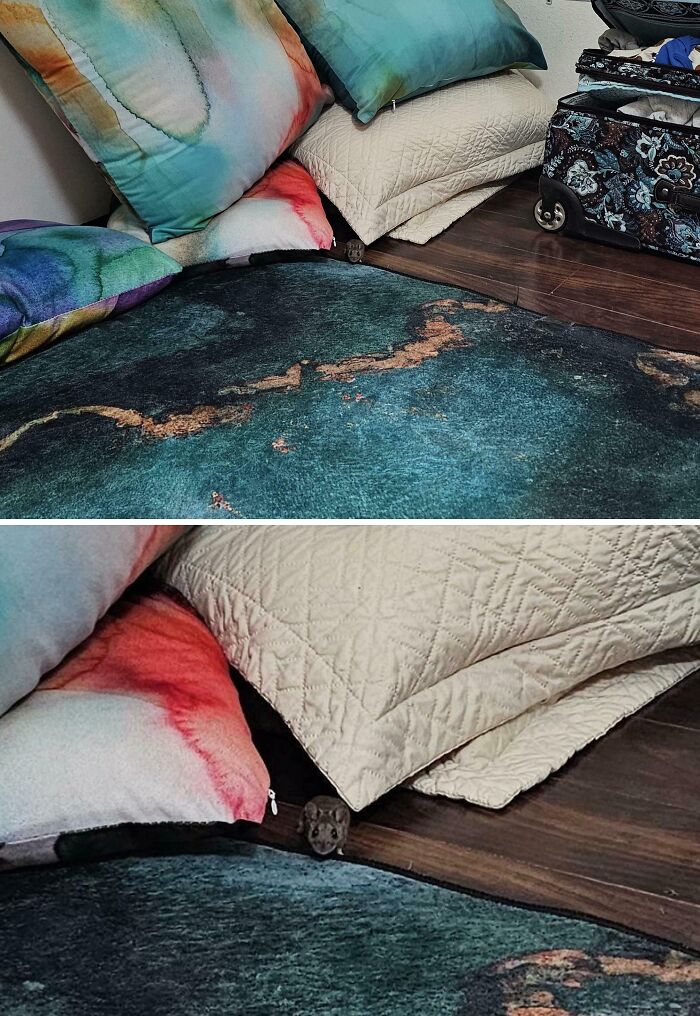 77 Times Hotels Messed Up So Bad, People Had To Shame Them Online (New Pics)