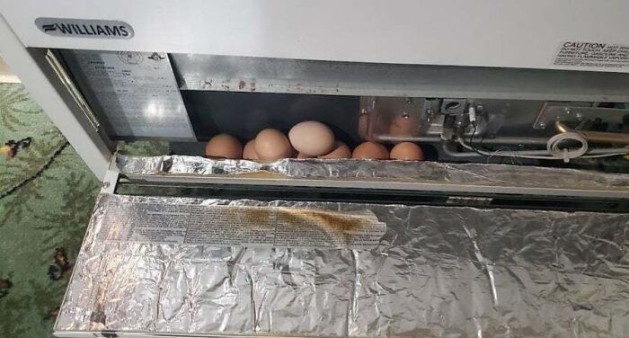 77 Times Hotels Messed Up So Bad, People Had To Shame Them Online (New Pics)