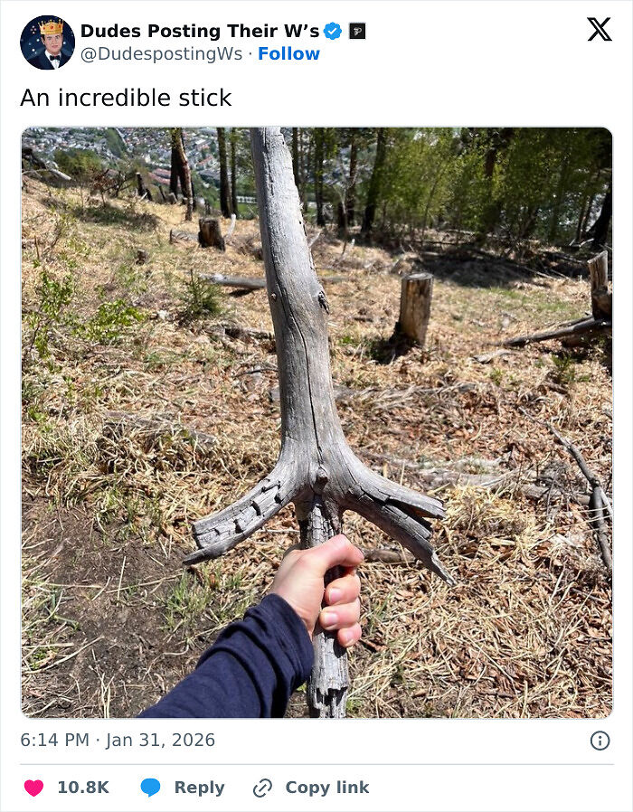 &ldquo;I Am Out Buying A Pony&rdquo;: Guys Prove That Not All Men Are Bad In These 47 Wholesome Posts