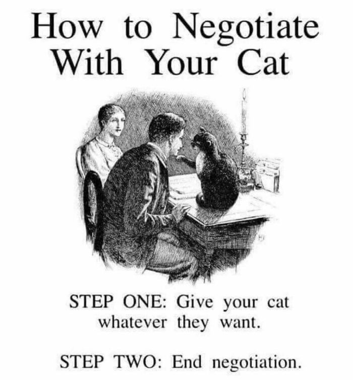 81 Chucklesome Cat Memes That Combine The Two Things The Internet Loves The Most