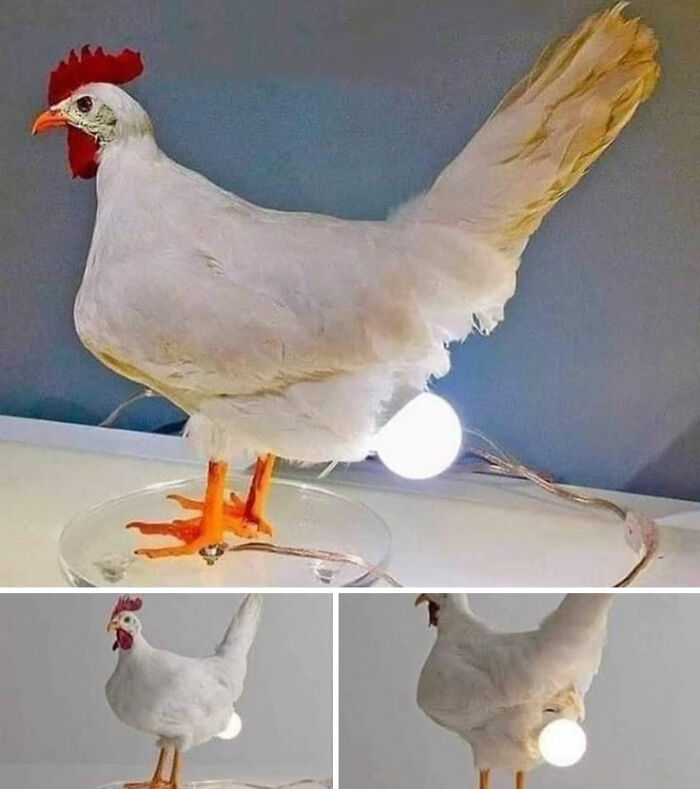 This Instagram Page Collects The Most Horrendous Designs Ever Created, And It’s Painfully Funny (50 Pics) This Instagram Page Collects The Most Horrendous Designs Ever Created, And It’s Painfully Funny (50 Pics)