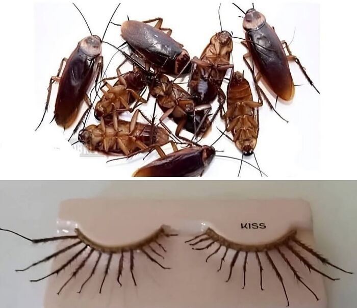 This Instagram Page Collects The Most Horrendous Designs Ever Created, And It’s Painfully Funny (50 Pics) This Instagram Page Collects The Most Horrendous Designs Ever Created, And It’s Painfully Funny (50 Pics)