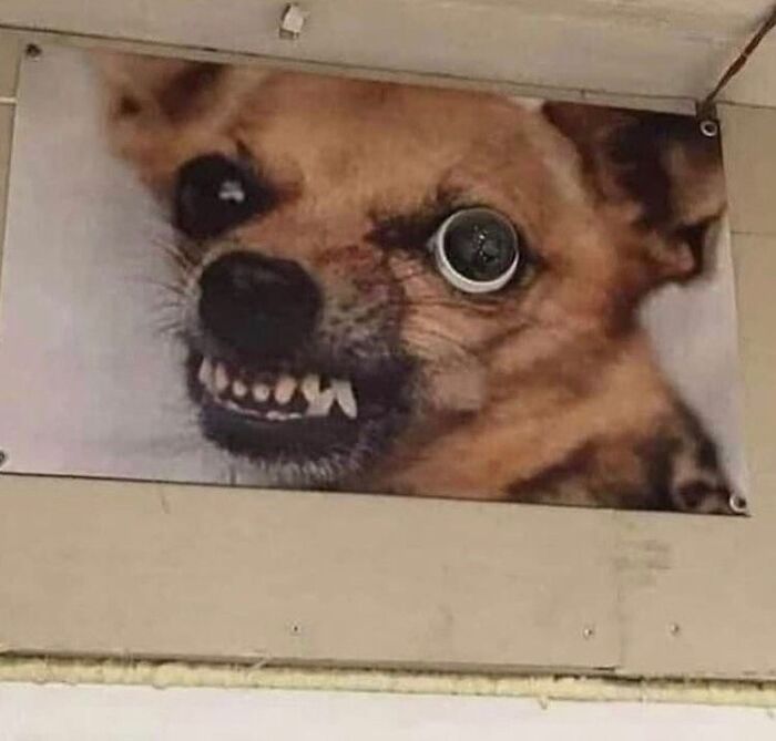 This Instagram Page Collects The Most Horrendous Designs Ever Created, And It’s Painfully Funny (50 Pics) This Instagram Page Collects The Most Horrendous Designs Ever Created, And It’s Painfully Funny (50 Pics)