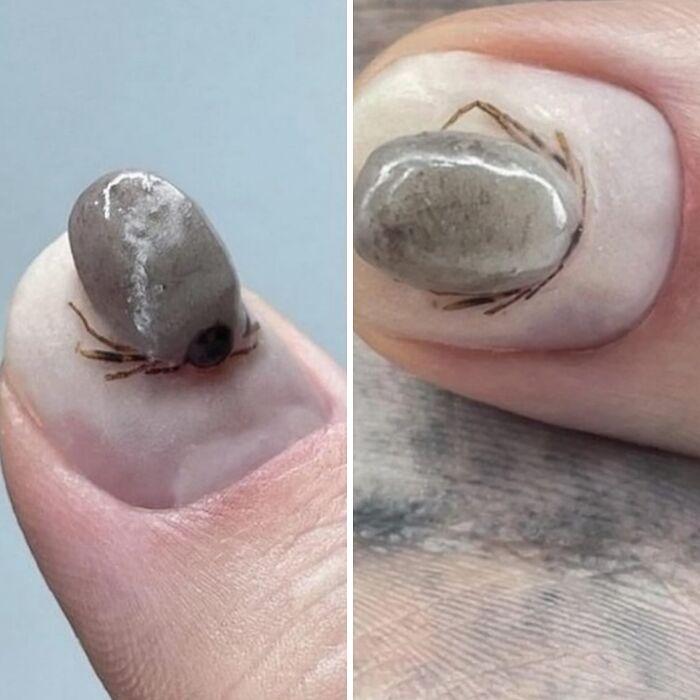 This Instagram Page Collects The Most Horrendous Designs Ever Created, And It’s Painfully Funny (50 Pics) This Instagram Page Collects The Most Horrendous Designs Ever Created, And It’s Painfully Funny (50 Pics)