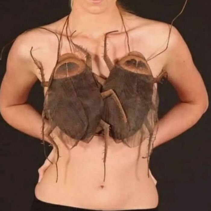 This Instagram Page Collects The Most Horrendous Designs Ever Created, And It’s Painfully Funny (50 Pics) This Instagram Page Collects The Most Horrendous Designs Ever Created, And It’s Painfully Funny (50 Pics)