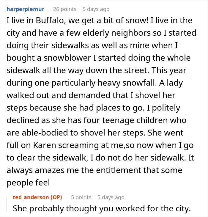 Guy Shovels Snow For Elderly Neighbor, Random Lady Decides He’s The HOA And Orders Her Walkway Done