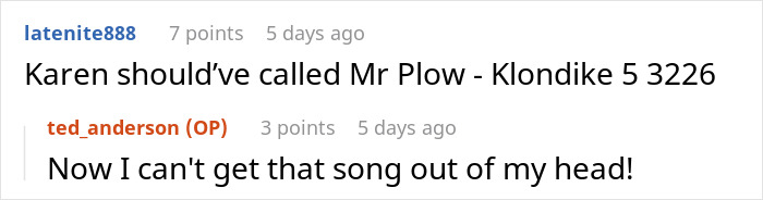 Guy Shovels Snow For Elderly Neighbor, Random Lady Decides He’s The HOA And Orders Her Walkway Done