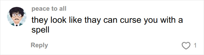 Untold Truth Of Mary-Kate And Ashley Olsen’s Disappearance And The Explosive Rift That Surprised Fans