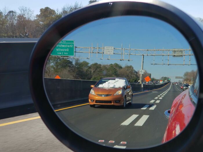 41 Examples Of People Operating At 1% Brain Capacity 41 Examples Of People Operating At 1% Brain Capacity