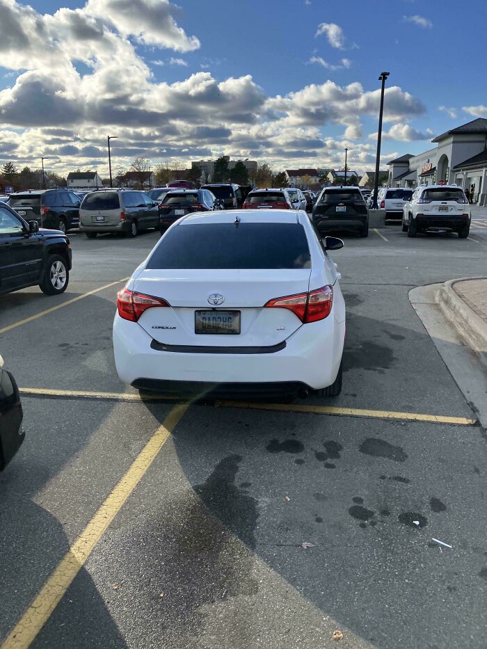 41 Examples Of People Operating At 1% Brain Capacity 41 Examples Of People Operating At 1% Brain Capacity