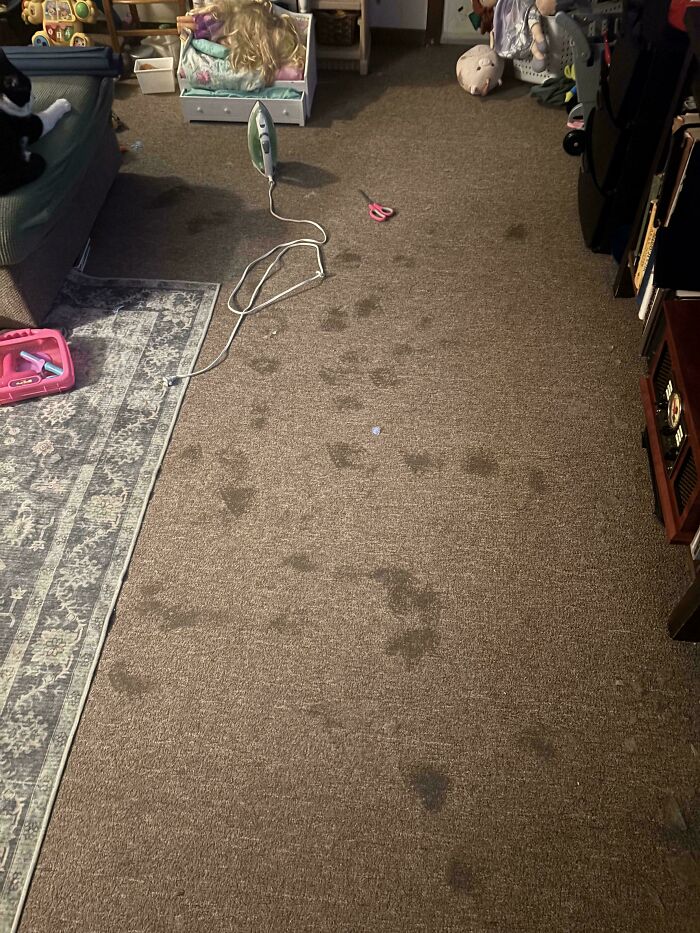 41 Examples Of People Operating At 1% Brain Capacity 41 Examples Of People Operating At 1% Brain Capacity