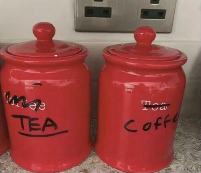 41 Examples Of People Operating At 1% Brain Capacity 41 Examples Of People Operating At 1% Brain Capacity