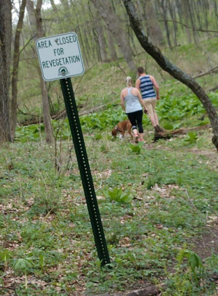 41 Examples Of People Operating At 1% Brain Capacity 41 Examples Of People Operating At 1% Brain Capacity