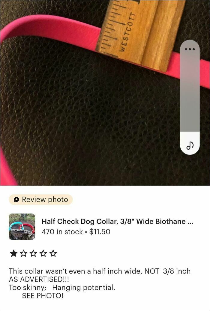 41 Examples Of People Operating At 1% Brain Capacity 41 Examples Of People Operating At 1% Brain Capacity