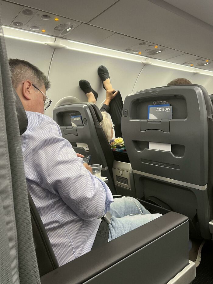 41 Examples Of People Operating At 1% Brain Capacity 41 Examples Of People Operating At 1% Brain Capacity