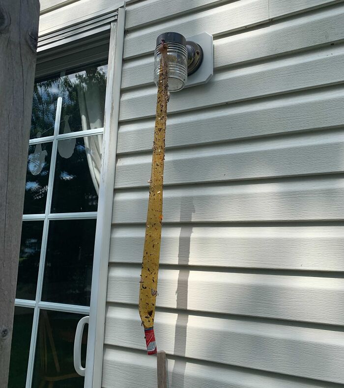 41 Examples Of People Operating At 1% Brain Capacity 41 Examples Of People Operating At 1% Brain Capacity