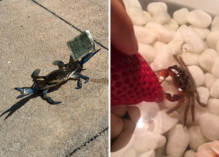 42 Of The Weirdest Subreddits That Are For Some Reason Very Popular 42 Of The Weirdest Subreddits That Are For Some Reason Very Popular