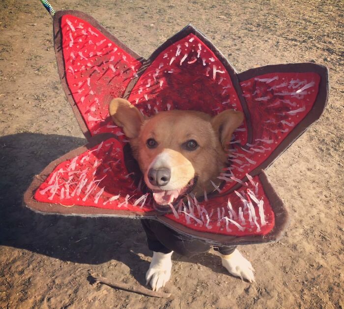 42 Of The Weirdest Subreddits That Are For Some Reason Very Popular 42 Of The Weirdest Subreddits That Are For Some Reason Very Popular