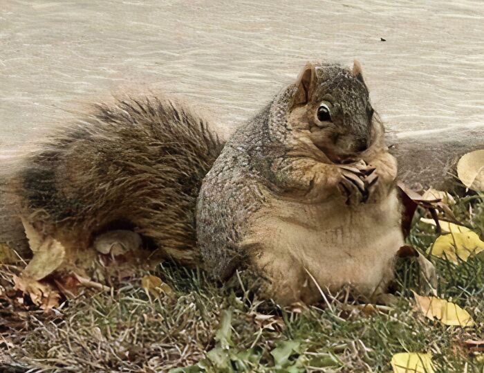 42 Of The Weirdest Subreddits That Are For Some Reason Very Popular 42 Of The Weirdest Subreddits That Are For Some Reason Very Popular