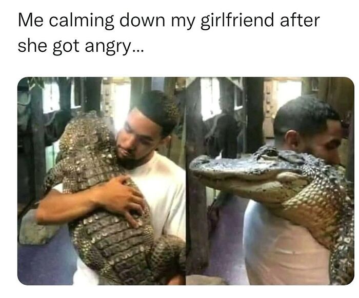 This Account Shares 55 Memes Of Animals Who Are The Definition Of “No Thoughts, Just Vibes”